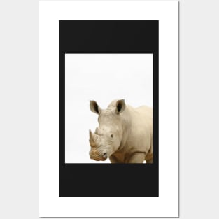 Rhinoceros print, African Safari, Nursery decor, Animal, Kids room, Modern Wall Posters and Art
